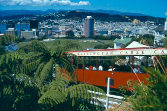 Widok na Wellington